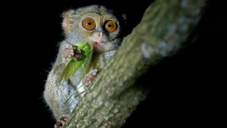 Noctourism: The Rise of Travel After Dark and How to Do It