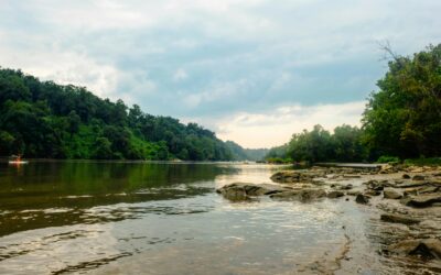 "Ecological Disaster": President Trump Slams Governor Moore Over Stagnant Potomac Sewage Response