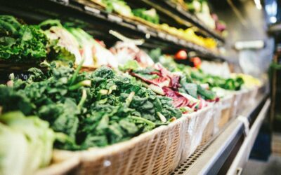 Grocery Relief: USDA Moves to Slash Red Tape and Accelerate Food Production