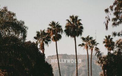 "Romantic Homicide" Becomes Reality: Alt-Pop Star d4vd Charged with First-Degree Murder