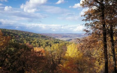 The Camp David Crunch: Trump Convenes Rare Mountain Summit as Hormuz Strikes Push Ceasefire to the Brink