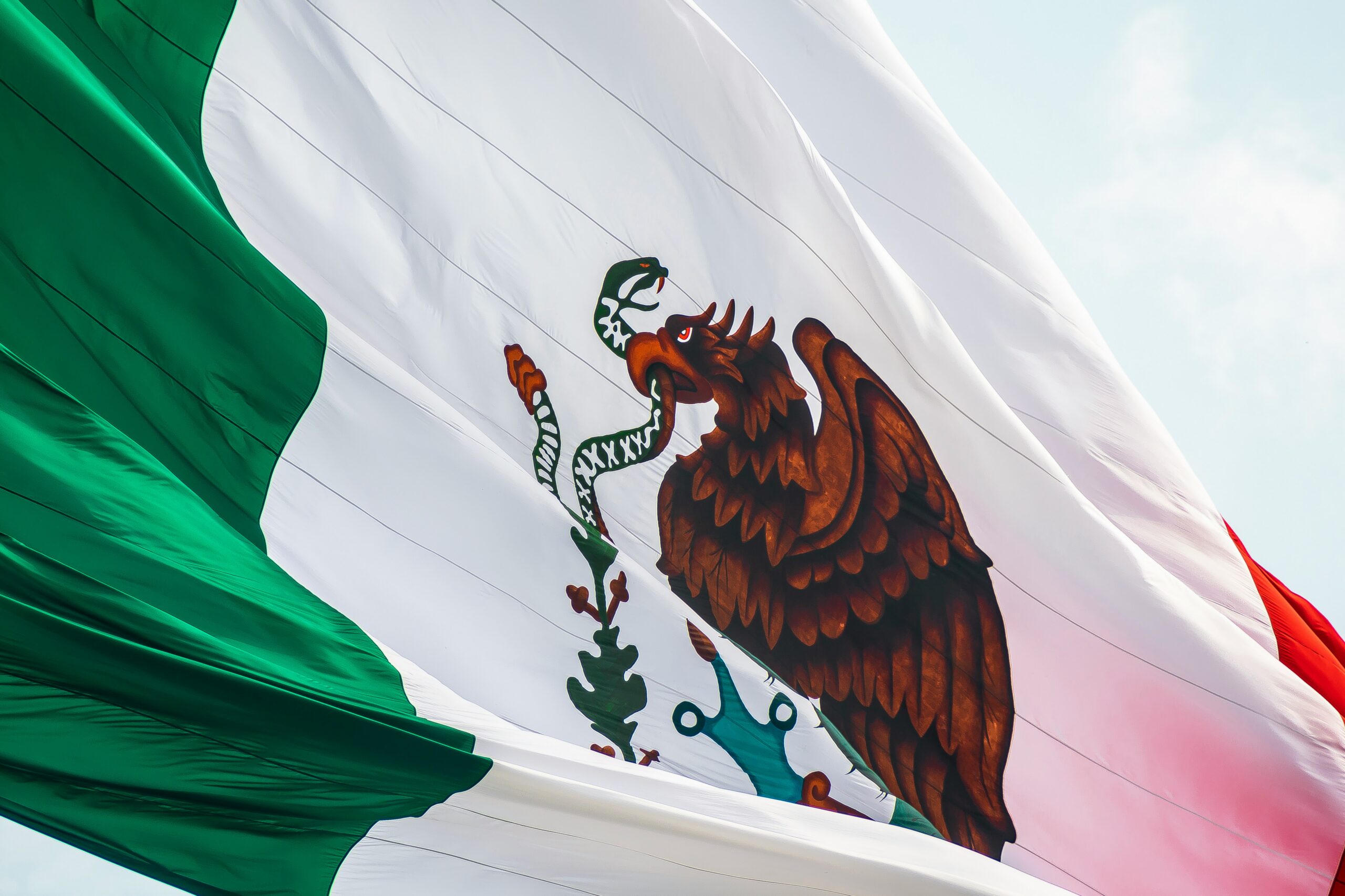 Shadow of the Syndicate: Mexican Senator Slams Sheinbaum for Protecting ‘Narco-Politicians’ Following US Indictments