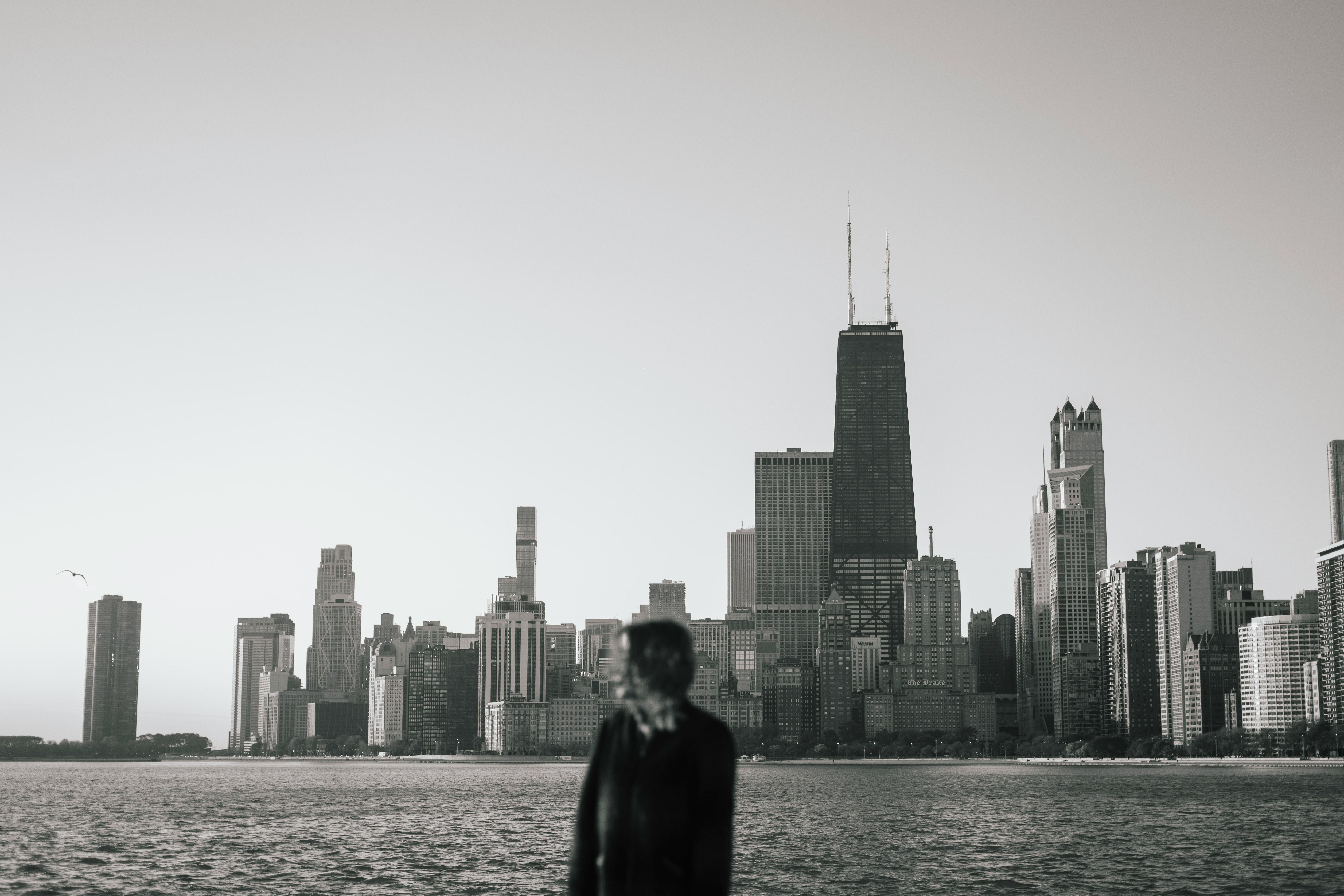 Silhouette of a person by the water with a distant city skyline of tall skyscrapers.