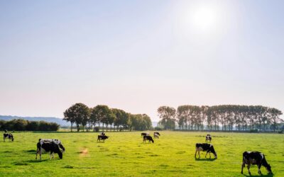 The Flesh-Eating Scourge: U.S. Ag Chief Brooke Rollins Warns of ‘Really Scary Time’ for Ranchers as Screwworm invades Texas