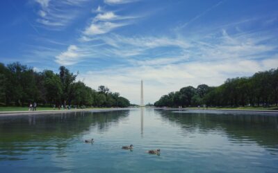 The Mall Sabotage: Trump Blasts ‘Deranged’ Vandals for Slashing Newly Minted Reflecting Pool Liner