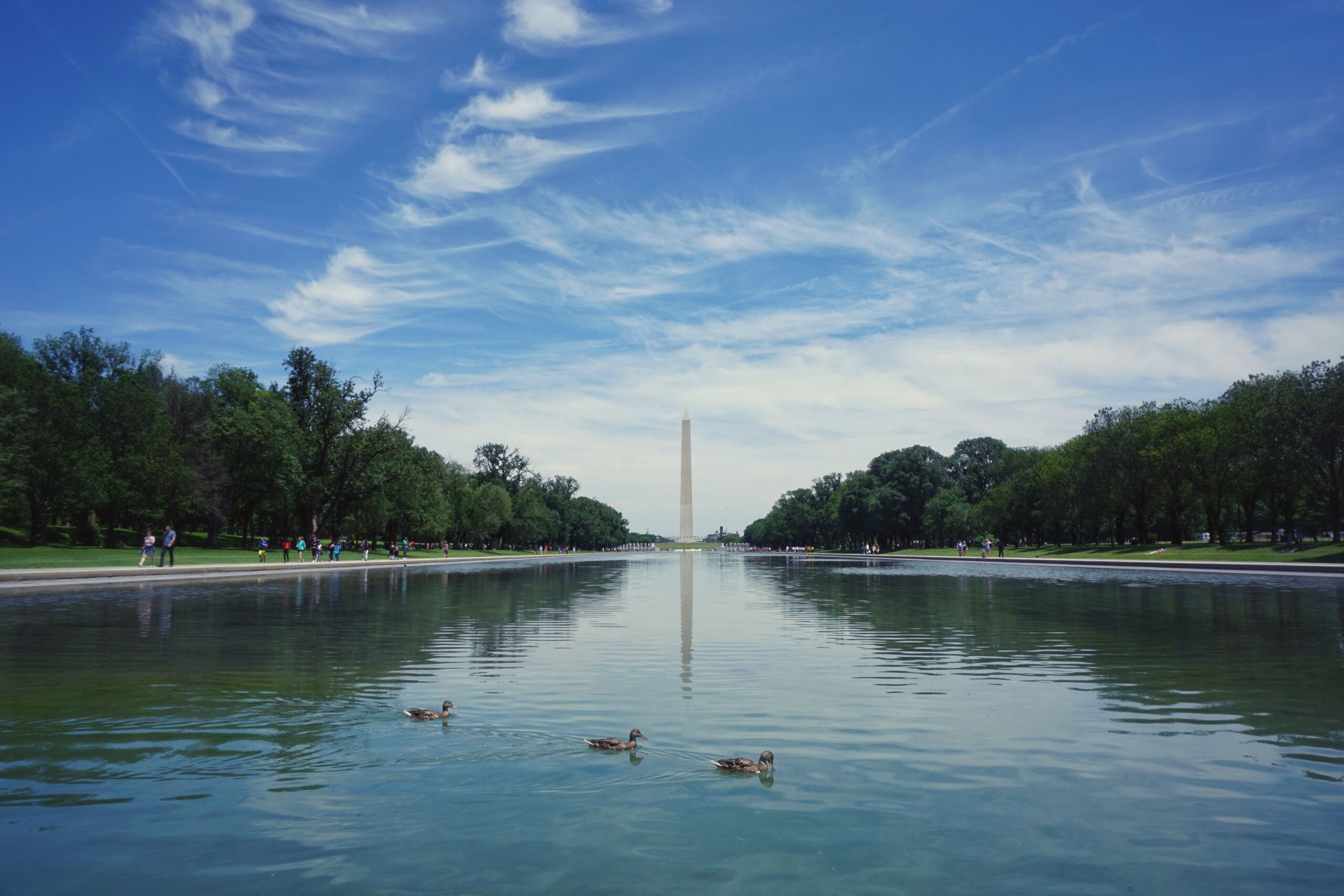 The Mall Sabotage: Trump Blasts ‘Deranged’ Vandals for Slashing Newly Minted Reflecting Pool Liner