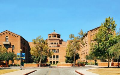 The Medical Blank: Medical School Deans Falter in Tense House Hearing Over Gender Identity and Biological Science