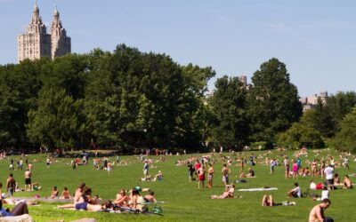 The Central Park Vapor: NYC Issues Emergency Alert to Park Visitors as Upper East Side Legionnaires’ Outbreak Swells