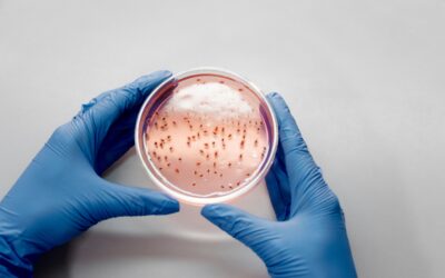 Senate Confirms Dr. Erica Schwartz as CDC Director, Ending Yearlong Leadership Vacuum
