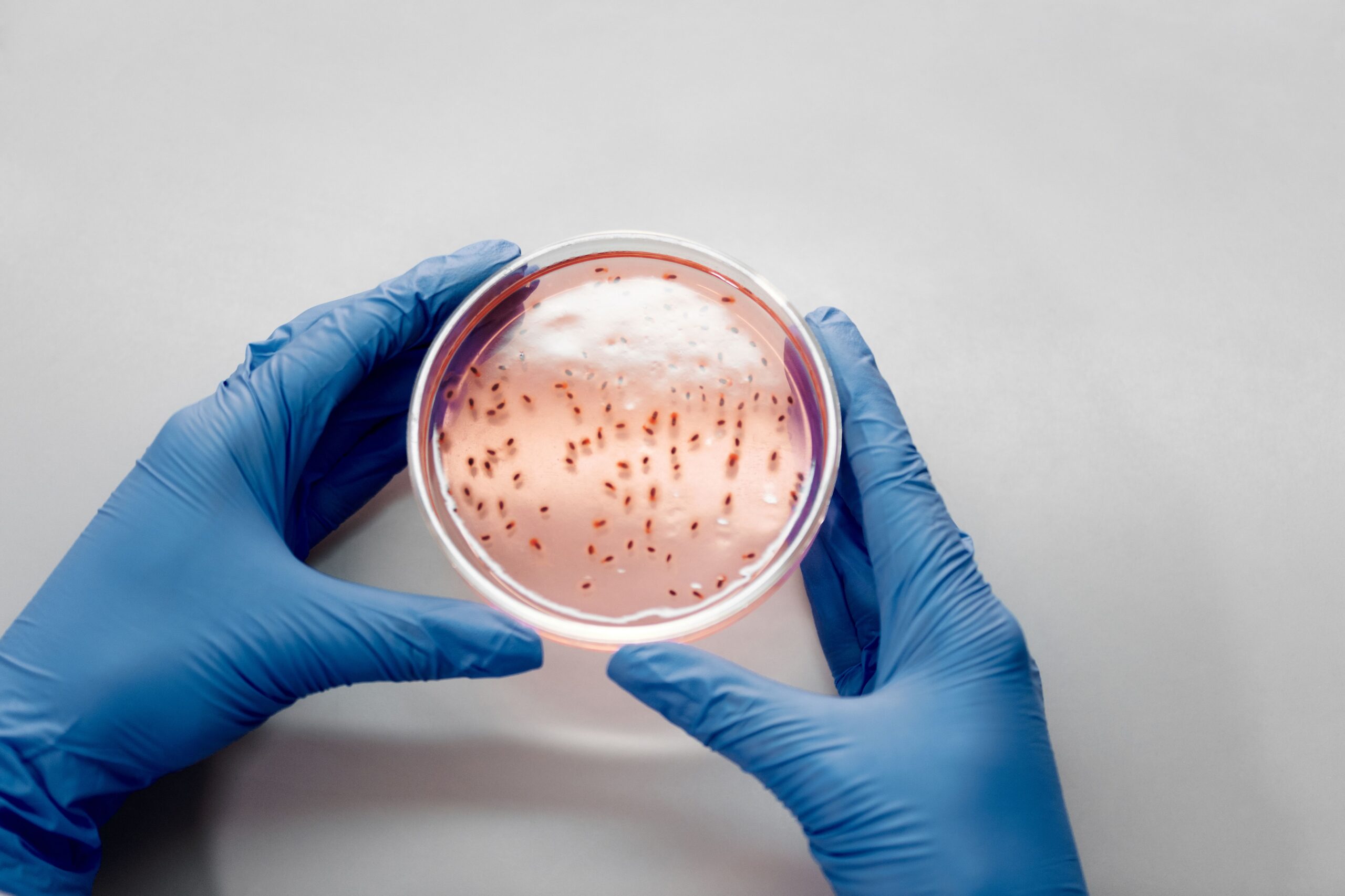 Senate Confirms Dr. Erica Schwartz as CDC Director, Ending Yearlong Leadership Vacuum