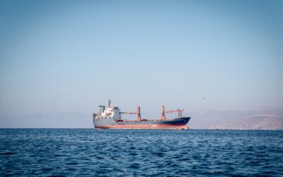 Large cargo ship sailing on calm blue sea with distant mountains under a clear sky, a bird soaring nearby.