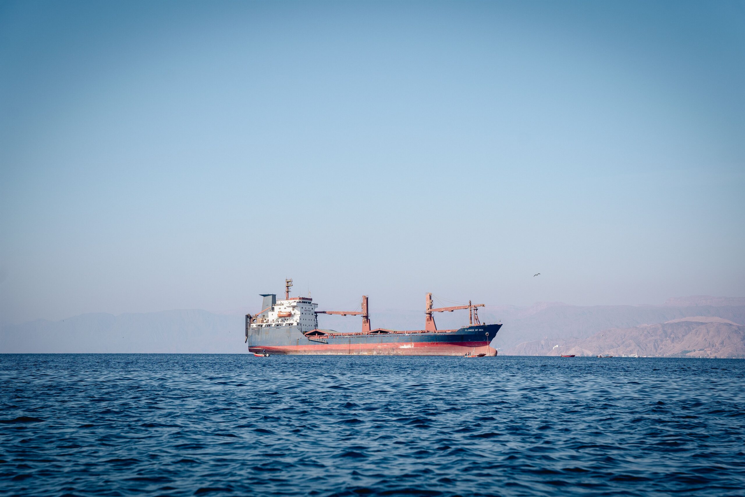 Large cargo ship sailing on calm blue sea with distant mountains under a clear sky, a bird soaring nearby.