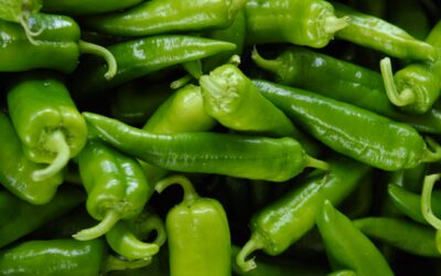 Salmonella Outbreak Tied to Jalapeños Sickens 431 Across 32 States, Chipotle and QDOBA Affected