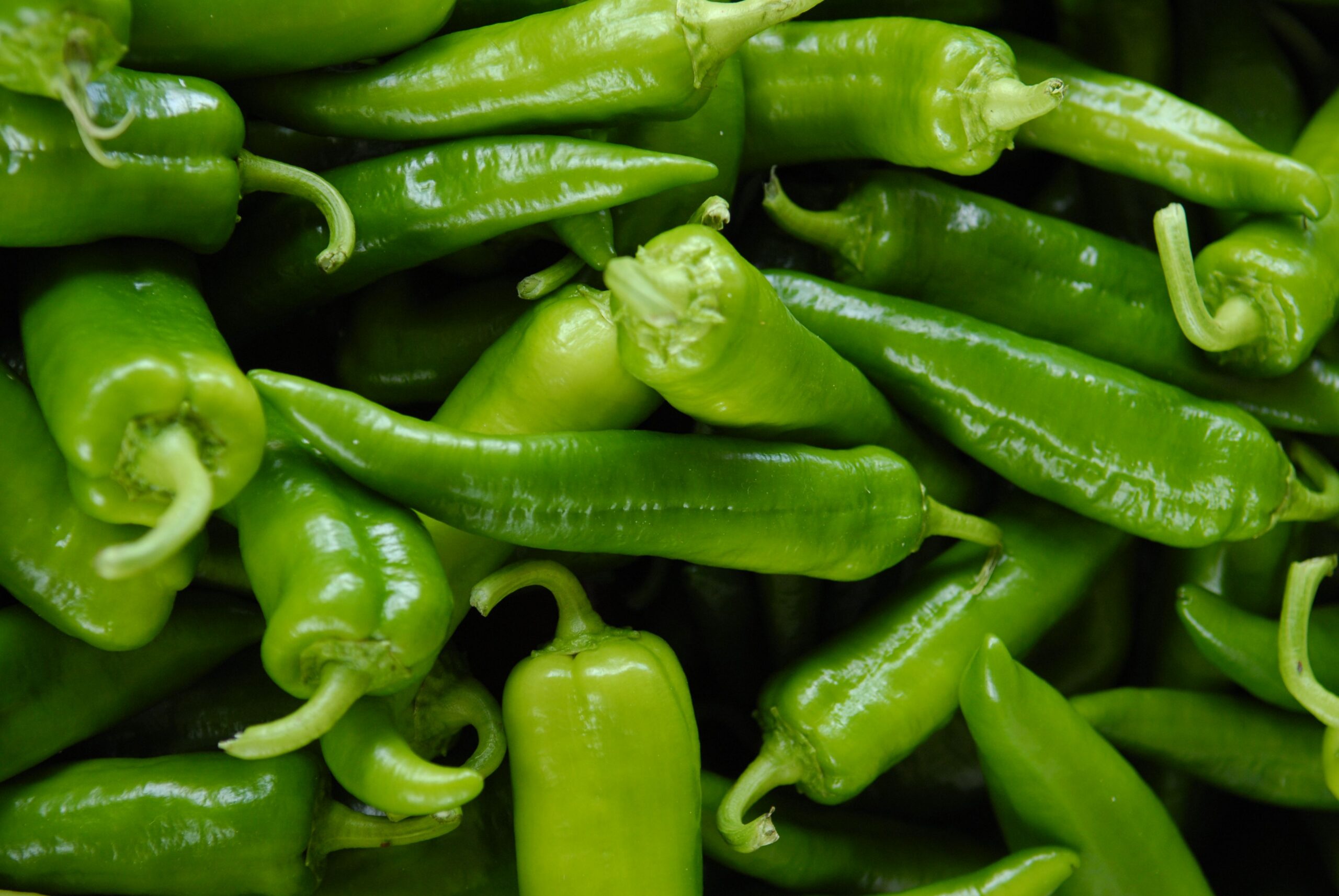 Salmonella Outbreak Tied to Jalapeños Sickens 431 Across 32 States, Chipotle and QDOBA Affected