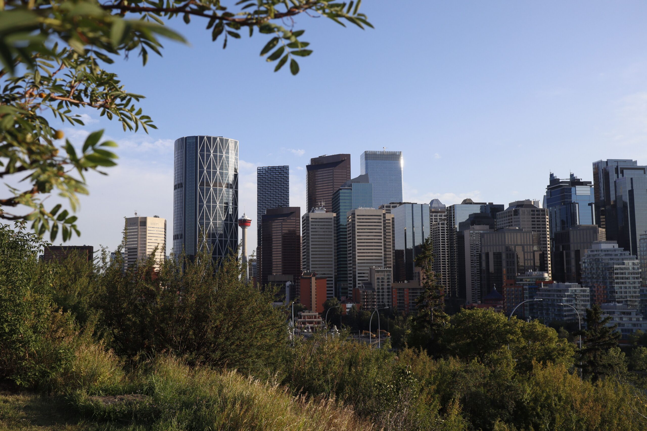 Alberta Voters Reject Separation From Canada in Historic Referendum, Preliminary Results Show